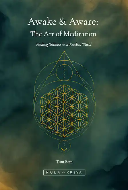 Awake & Aware book cover